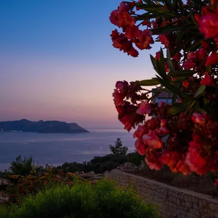 빌라 White Garden *