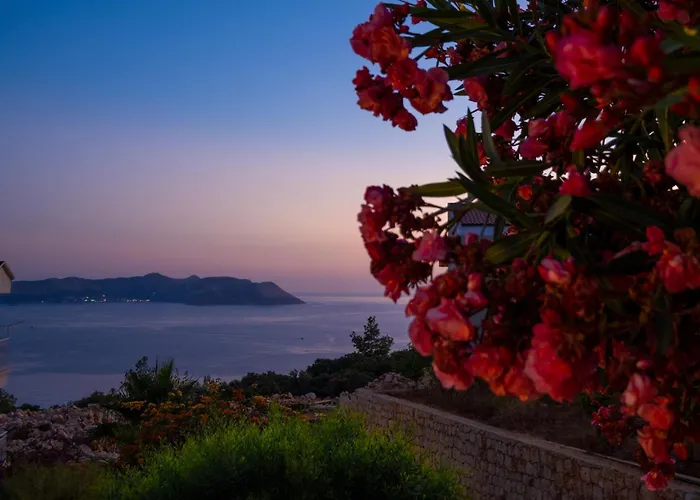 别墅 White Garden *